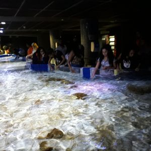 MUITO ALÉM DAS 20.000 LÉGUAS SUBMARINAS